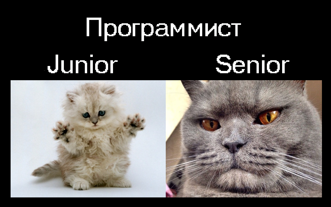 Программист-junior vs программист-senior